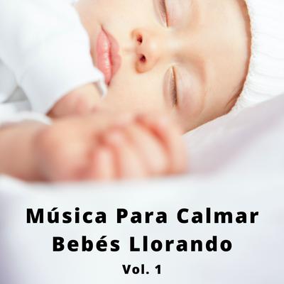 El Oso Sobre La Montaña By Música Clásica Bebés, Música Clásica Para Bebés, Musica para Bebes's cover