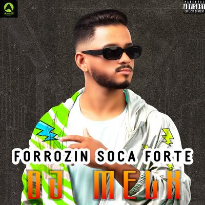 Forrozin Soca Forte By djmelk's cover