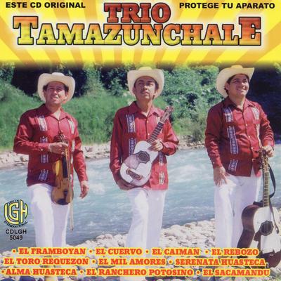 El Toro Requezon's cover
