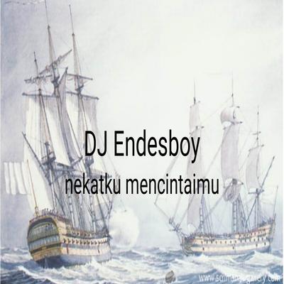 DJ Endesboy's cover