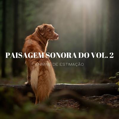Lobo Assassino By Ondas Alfa Dormir, Experiência Musical Adormecida, Academia de Relaxamento Espiritual's cover