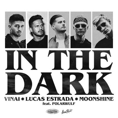 In The Dark (feat. Polarwulf) By VINAI, Lucas Estrada, Moonshine, Polarwulf's cover