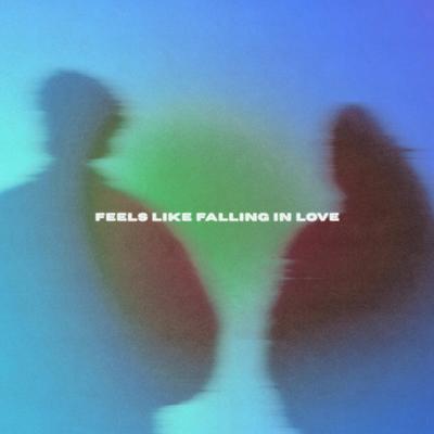 Feels Like Falling In Love's cover