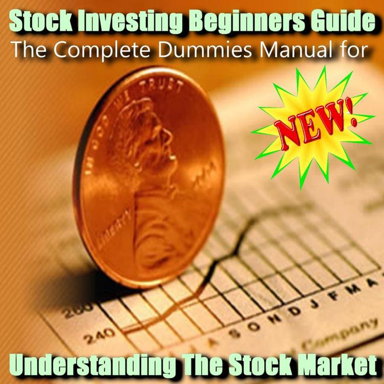 Stock Investing Beginners Guide's avatar image