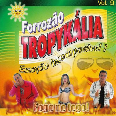 Fogo no Fogo By Forrozão Tropykalia's cover