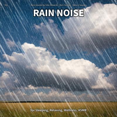 #01 Rain Noise for Sleeping, Relaxing, Wellness, ASMR's cover
