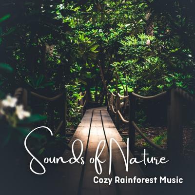 Unambiguous Fountain By Rainforest Meditations, Rainforest Sounds, The Rainforest Collective's cover