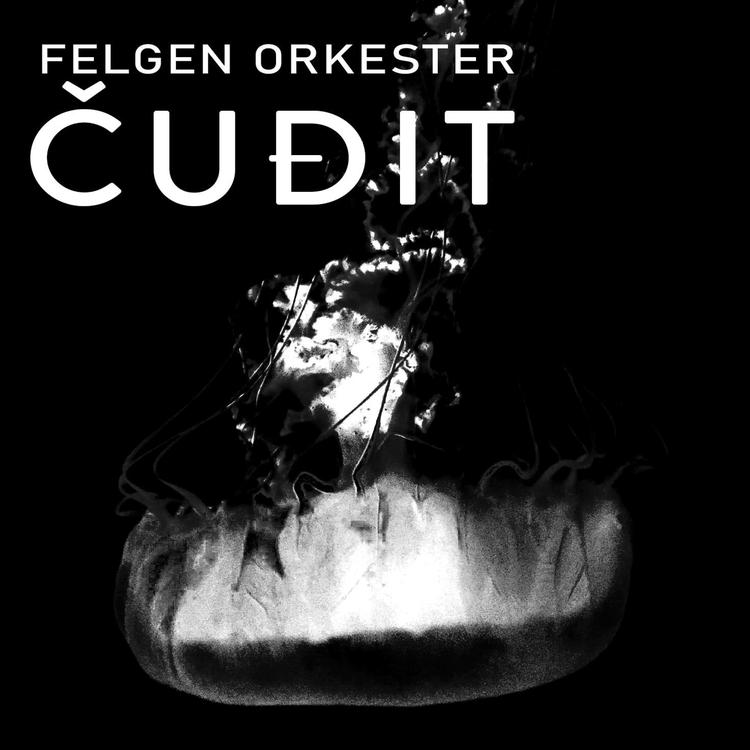 Felgen Orkester's avatar image