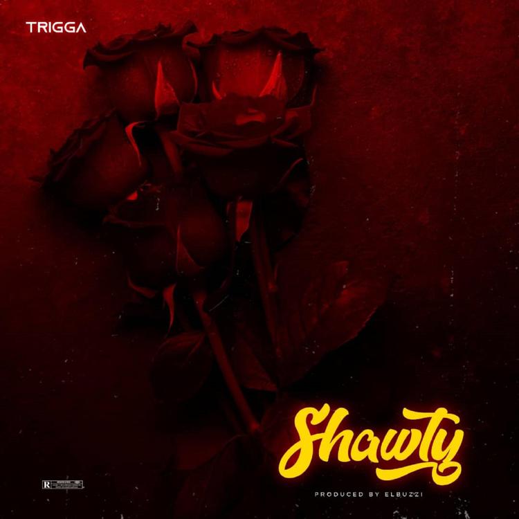 Trigga's avatar image