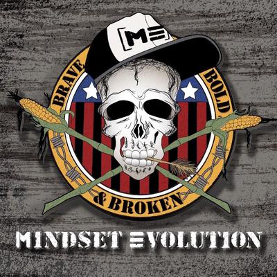 Like to Fall By Mindset Evolution's cover