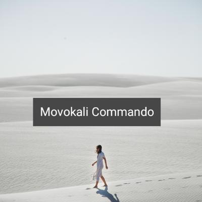 Movokali Commando (Remix)'s cover