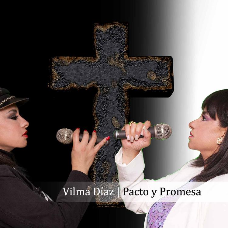 Vilma Diaz's avatar image