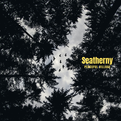 Seatherny By Peaceful Village's cover