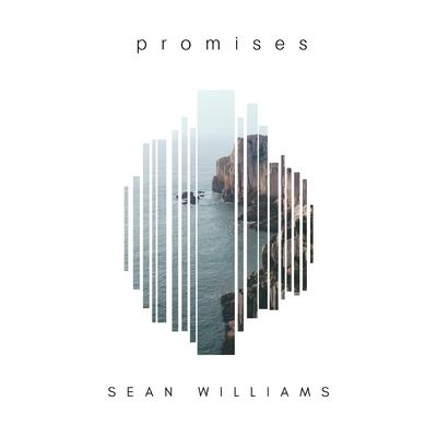 Desire By Sean Williams's cover