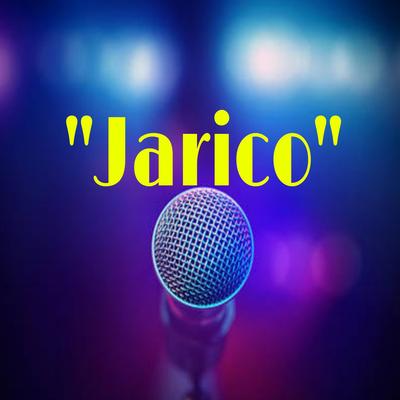 Jarico By Tushar's cover