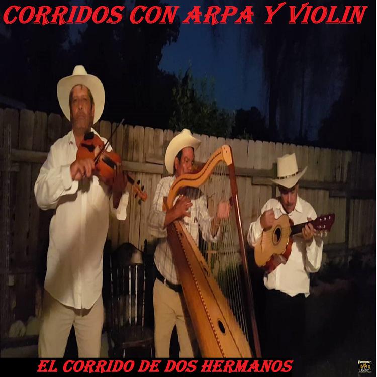 Corridos Con Arpa Y Violin's avatar image