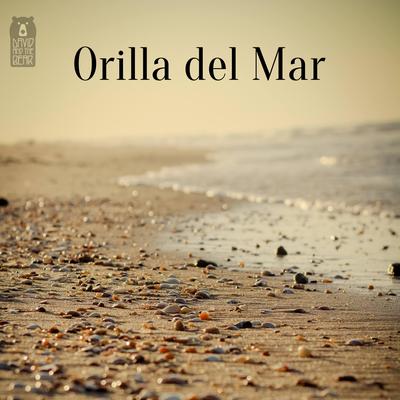 Orilla del Mar By David and the Bear's cover
