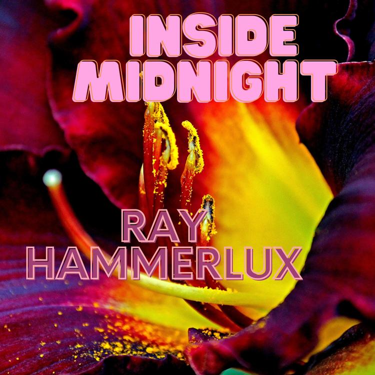 Ray Hammerlux's avatar image