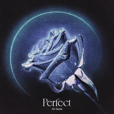 Perfect By Ali Gatie's cover