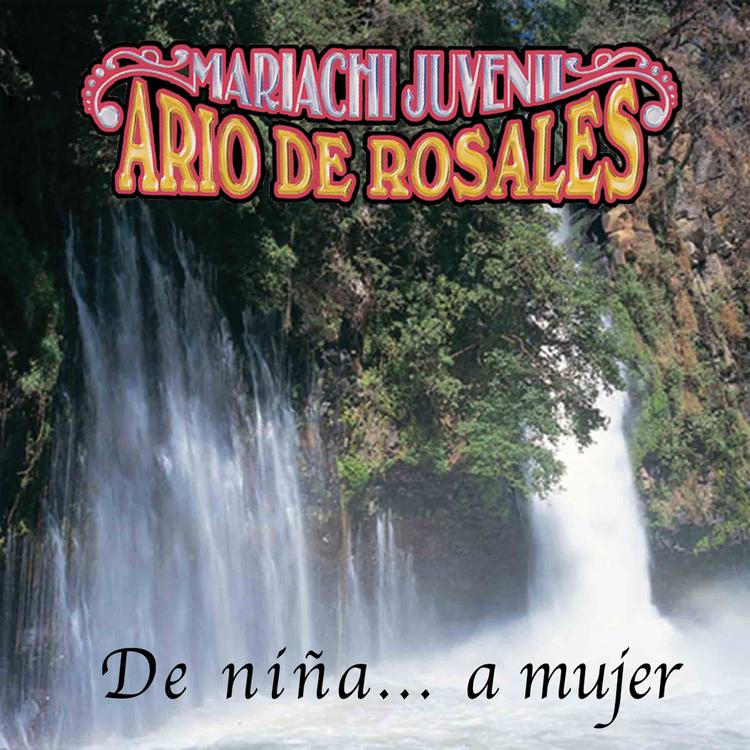 Mariachi Juvenil Ario de Rosales's avatar image