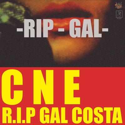 R.I.P Gal Costa By CARGA NOVA ENT., Putodiparis, San jesus, Sheik S, GVB EXCLUSIVE's cover