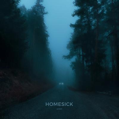 Homesick's cover