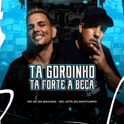 Ta Gordinho Ta Forte a Beça's cover