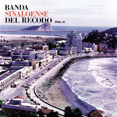 Banda Sinaloense El Recodo De Cruz Lizarraga Vol. II - La Culebra Pollera's cover