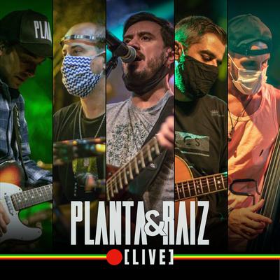 Cante a Paz (Live) By Planta E Raiz's cover