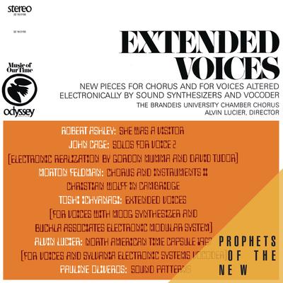 Sound Patterns By The Brandeis University Chamber Chorus, Alvin Lucier's cover