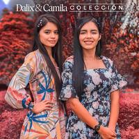 Dalix & Camila's avatar cover