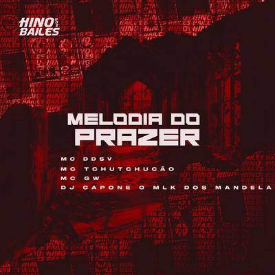 Melodia do Prazer's cover