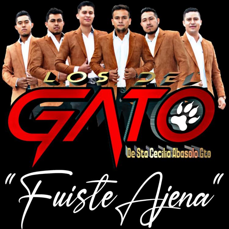 Los Del Gato's avatar image