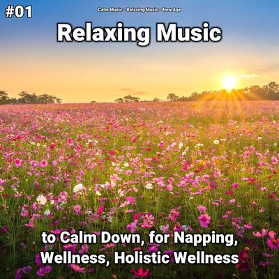 Reiki Music By Calm Music, Relaxing music, New Age's cover