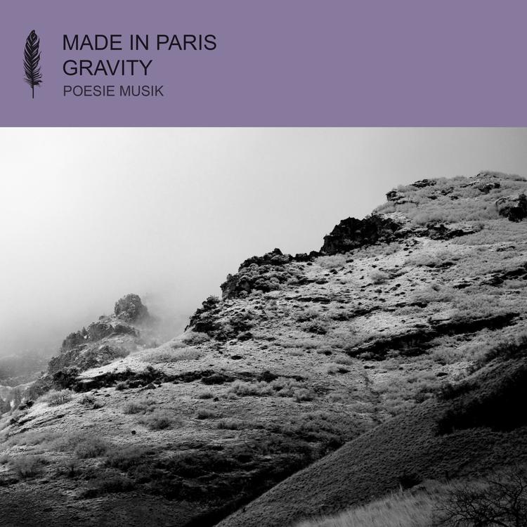 Made In Paris's avatar image