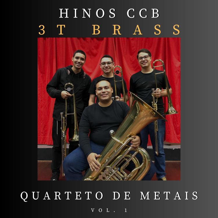 3T Brass's avatar image