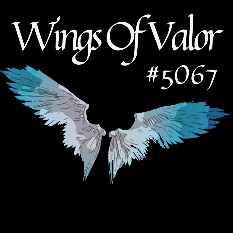 Wings Of Valor's avatar image