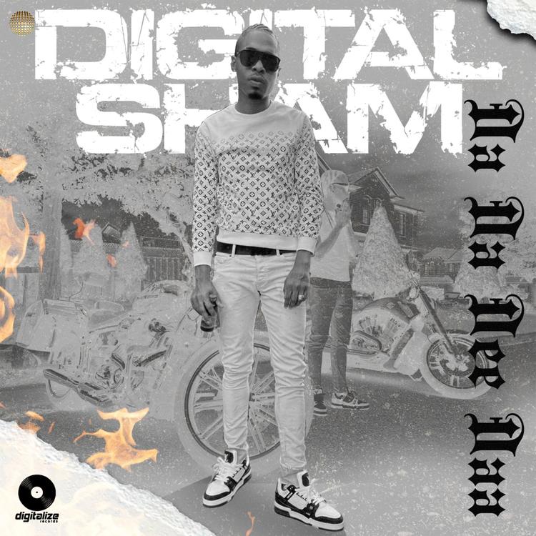Digital Sham's avatar image