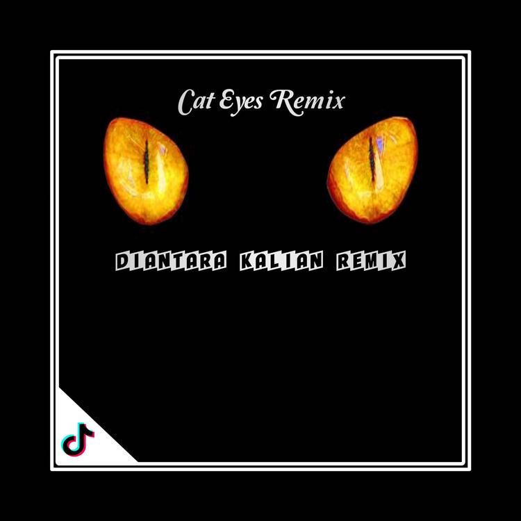 Cat Eyes Remix's avatar image