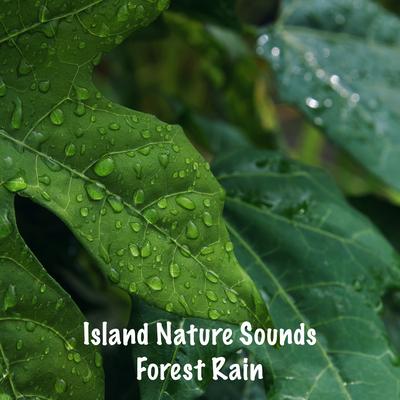 Heavy Forest Rain By Island Nature Sounds's cover