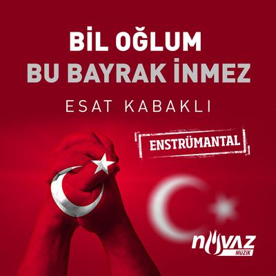 Bil Oğlum / Bu Bayrak İnmez (Enstrümantal)'s cover