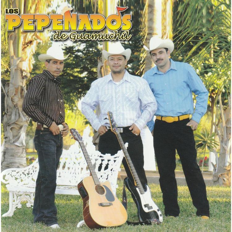 Los Pepenados De Guamuchil's avatar image