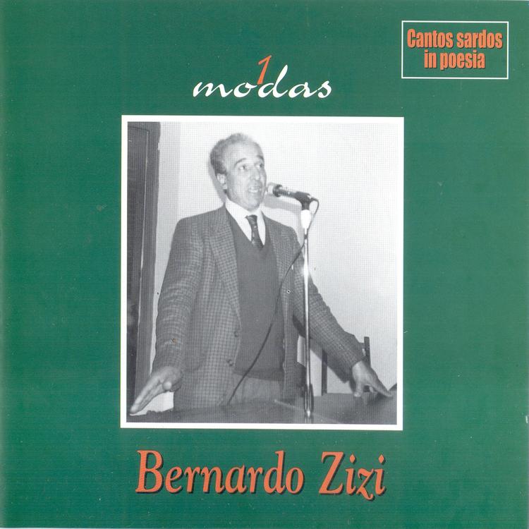 Bernardo Zizi's avatar image