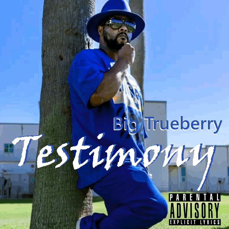 Big Trueberry's avatar image