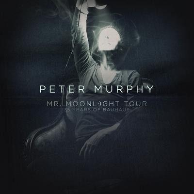 The Spy in the Cab (Live) By Peter Murphy's cover