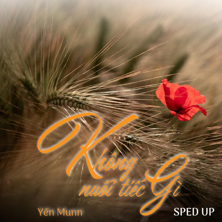 Yến Munn's avatar image