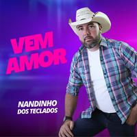 Nandinho dos Teclados's avatar cover