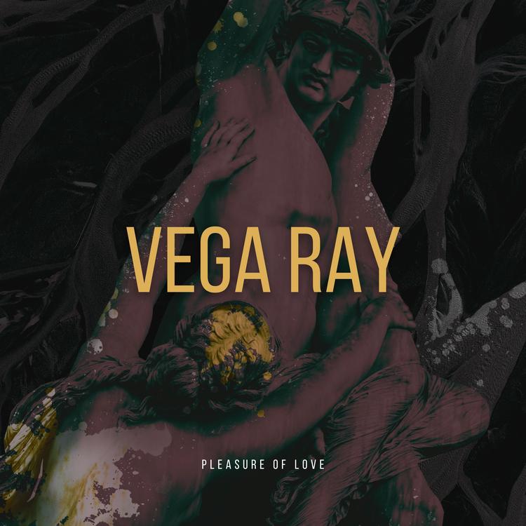 Vega Ray's avatar image