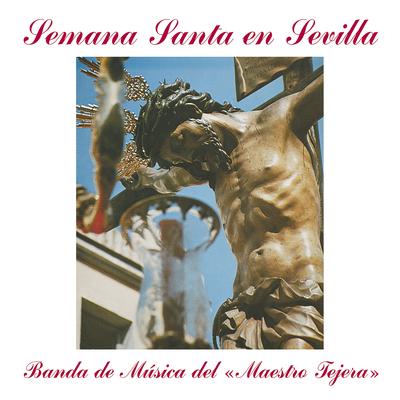 Banda de Musica del Maestro Tejera's cover