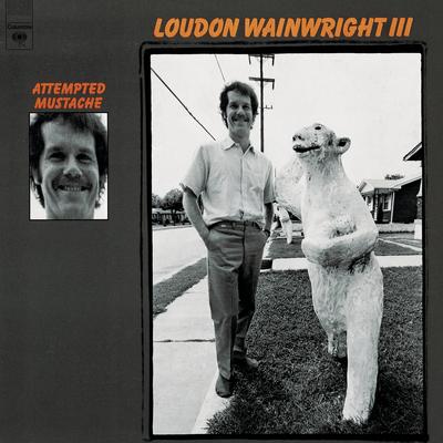The Swimming Song (Album Version) By Loudon Wainwright III's cover